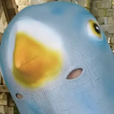 Profile image of ハト