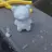 관종으로 살아남기RPG