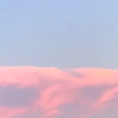 Profile image of 한노아