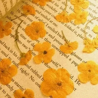 Profile image of 쪼만