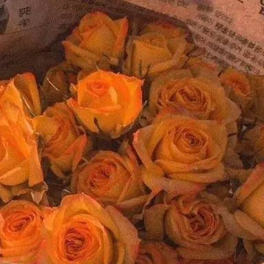 Profile image of 코마