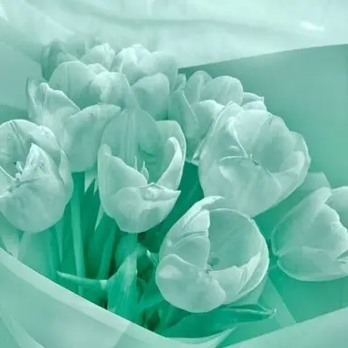 Profile image of 예엥