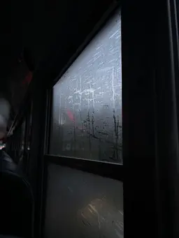 Profile image of Jeremy