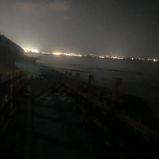 꽁지