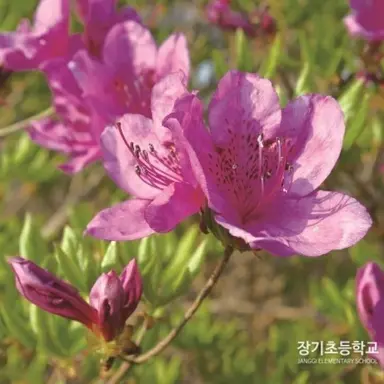 Profile image of 김건우