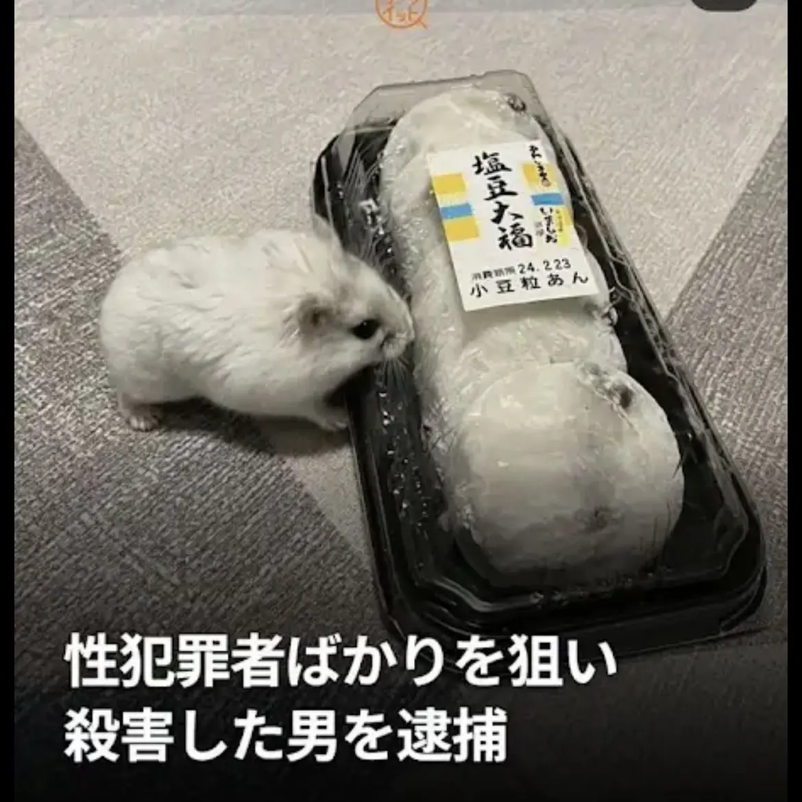 YUshin1111의 あ