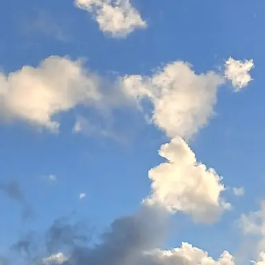 Profile image of 이채원