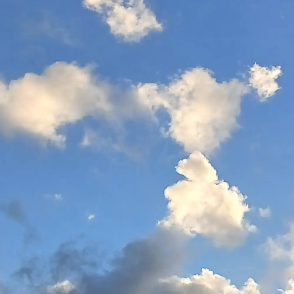 Haming_45의 이채원