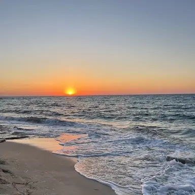 Profile image of Beach day