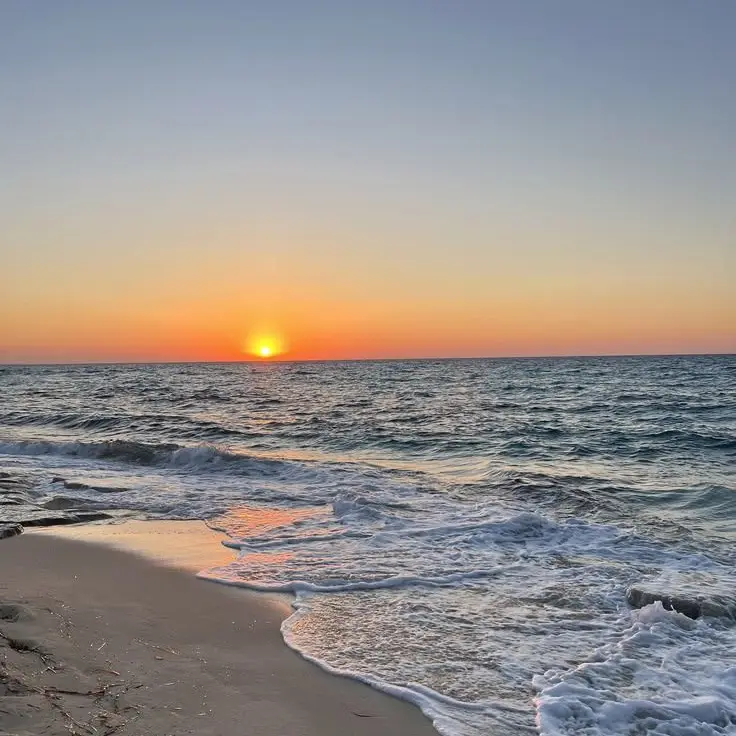 EnchantedOasis의 Beach day