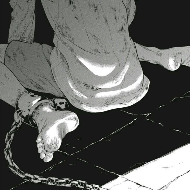 실험체 0241번 대표 이미지