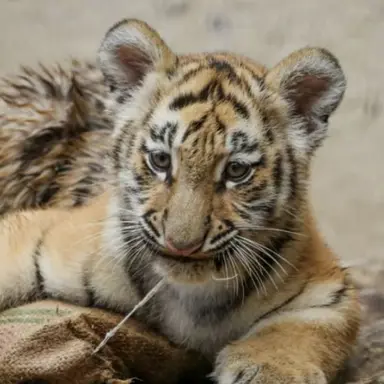 Profile image of 이스키