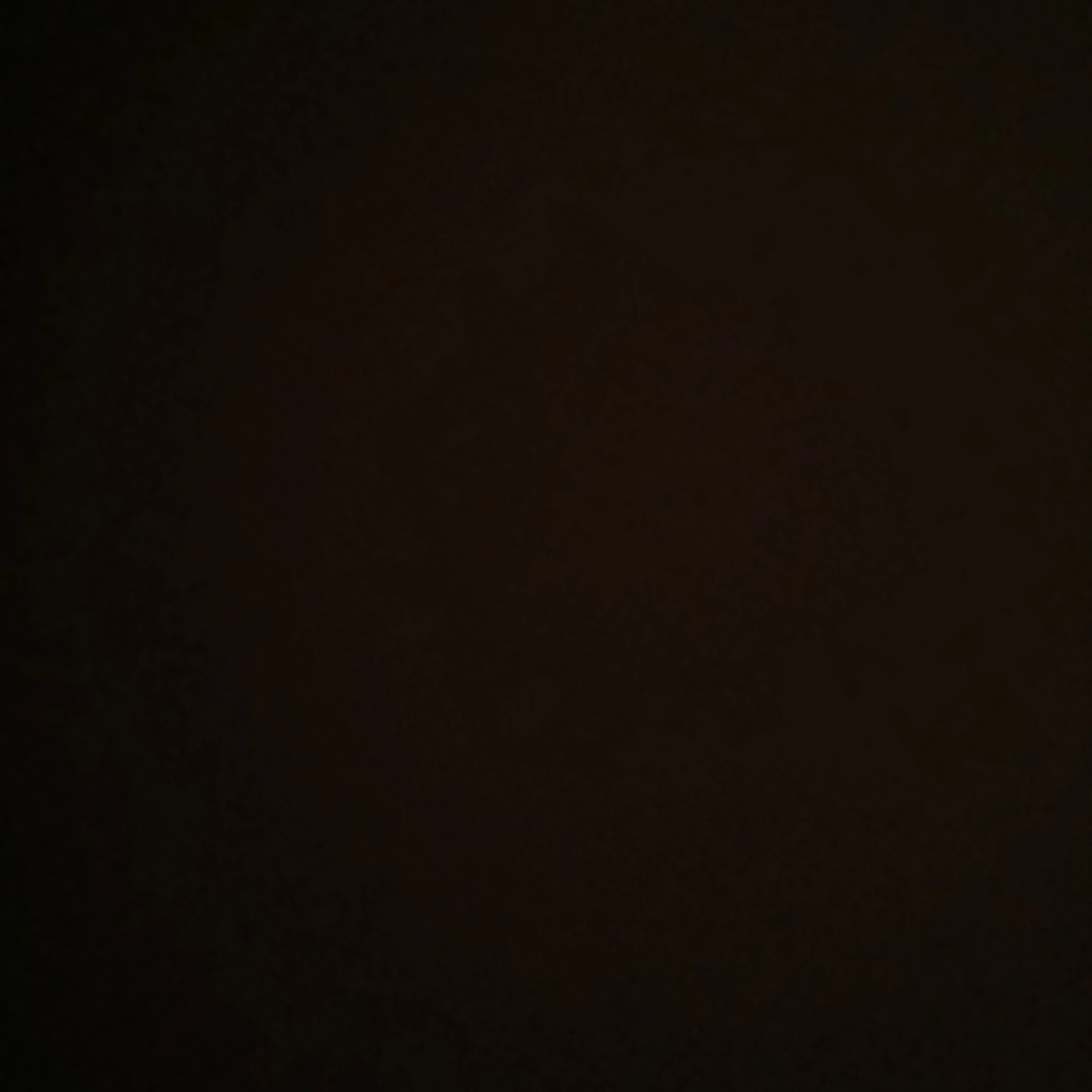 거인