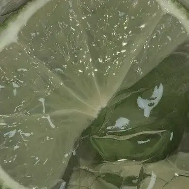 Profile image of 공룡