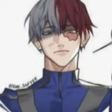 Profile image of Todoroki