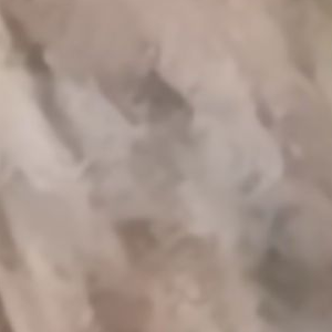 블랭크 이김ㄱㄱㄱ 대표 이미지
