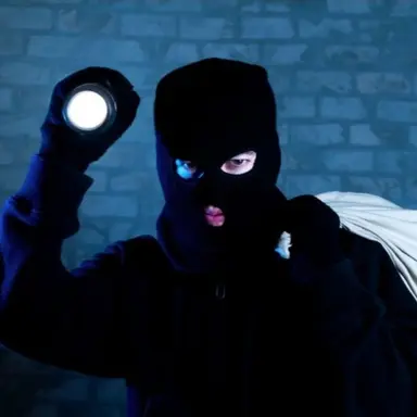 Profile image of Burglar