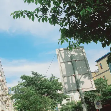 Profile image of 공룡