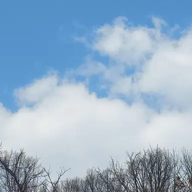 Profile image of 잠뜰