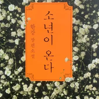 AEZ12의 동호