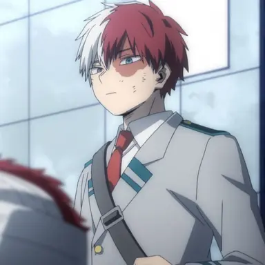 Profile image of Shoto Todoroki