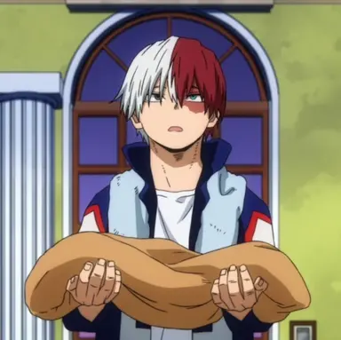Profile image of Shoto Todoroki