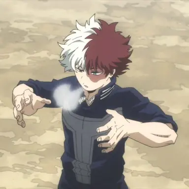Profile image of Shoto Todoroki