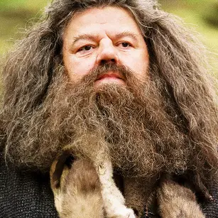 Profile image of Rubeus Hagrid