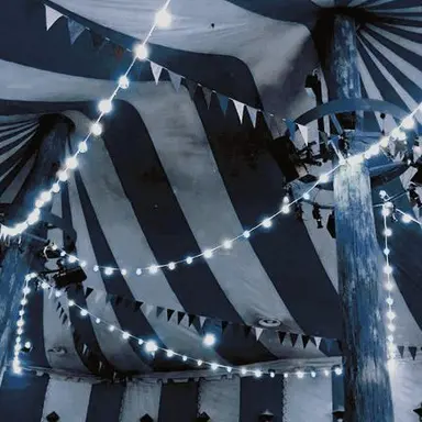 Profile image of 박잠뜰