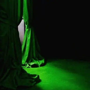 Profile image of 정공룡