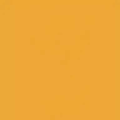 Profile image of 골드치즈