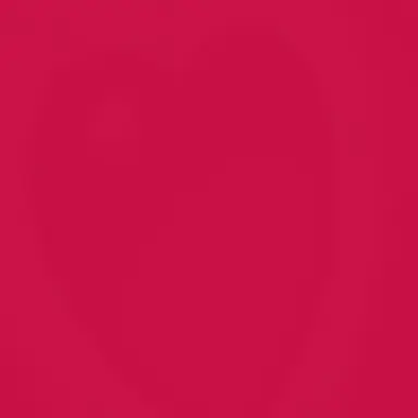 Profile image of 홀리베리