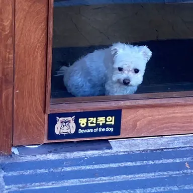 Profile image of Ryu Minseok