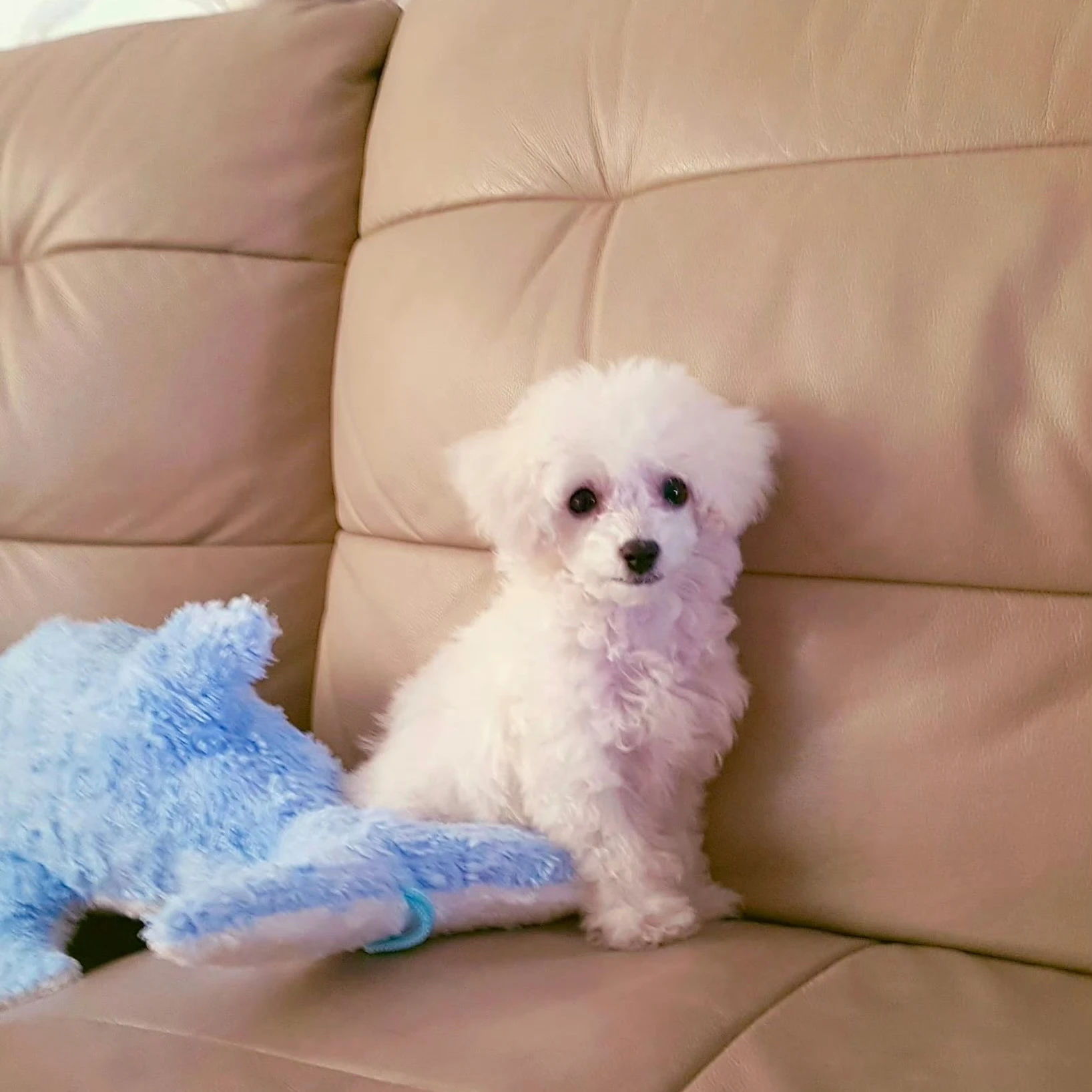 박성훈