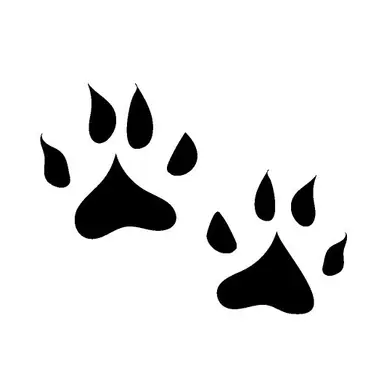 Profile image of 라피스