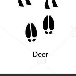Profile image of 벅