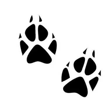 Profile image of 제스퍼