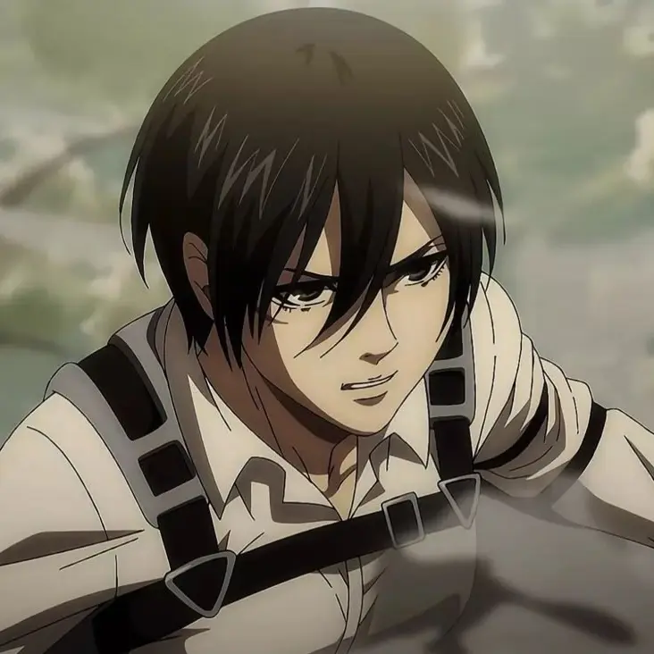 AoT69의 미카사 아커만