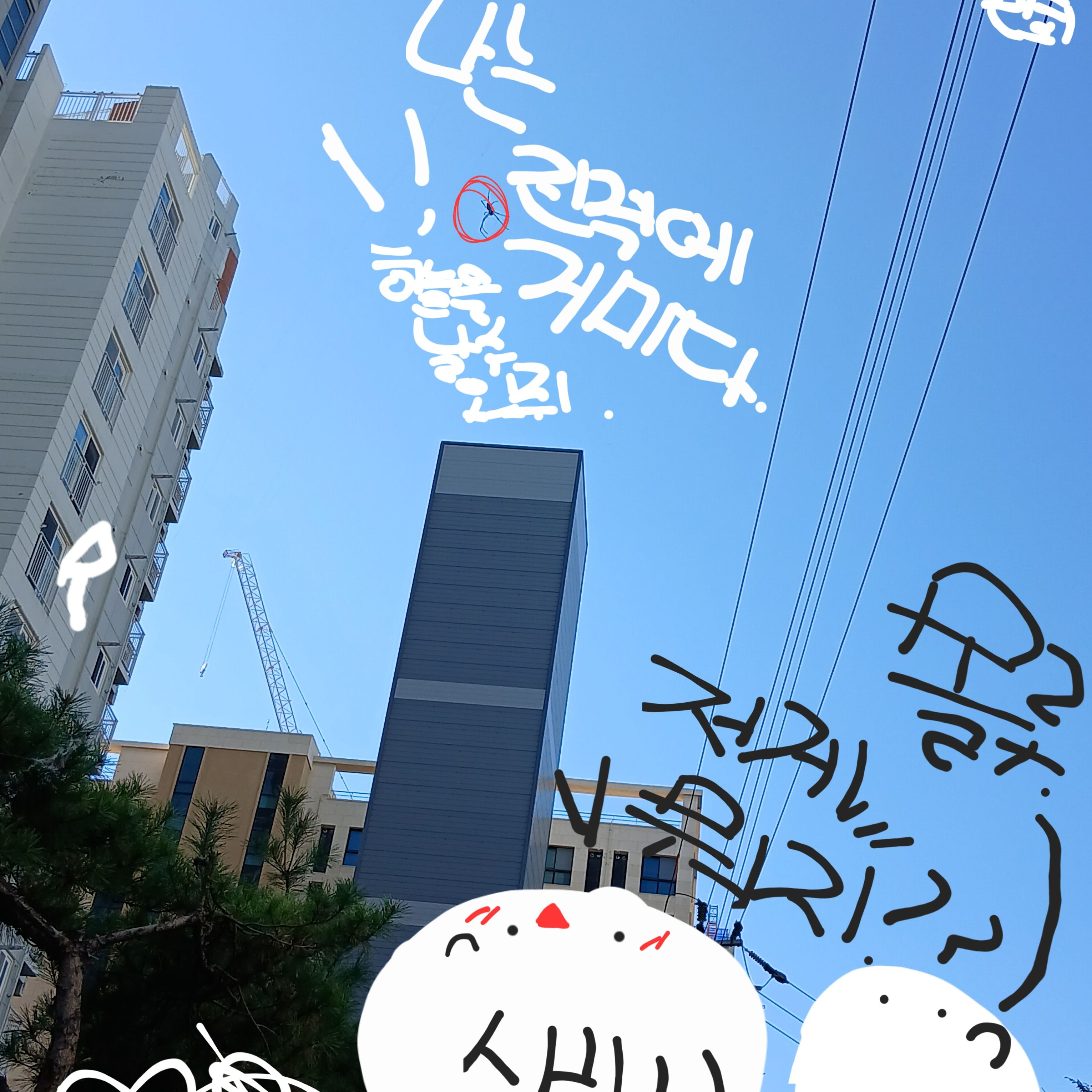 수학여행 사고 대표 이미지