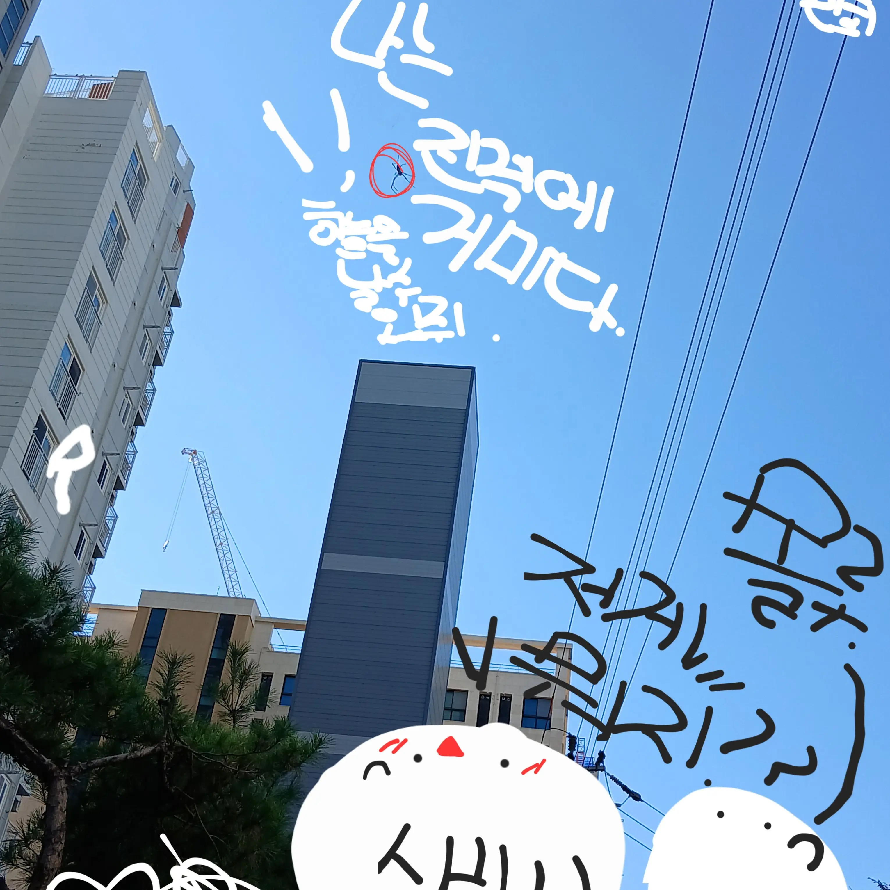 UpsetRadar7884의 수학여행 사고