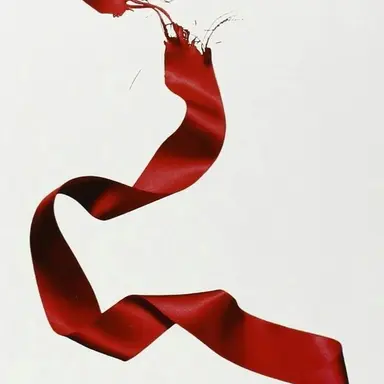 Profile image of フィン