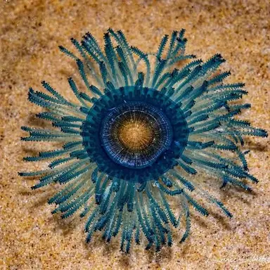 Profile image of 푸른우산관슬라임