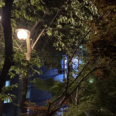 Profile image of 자유세계관