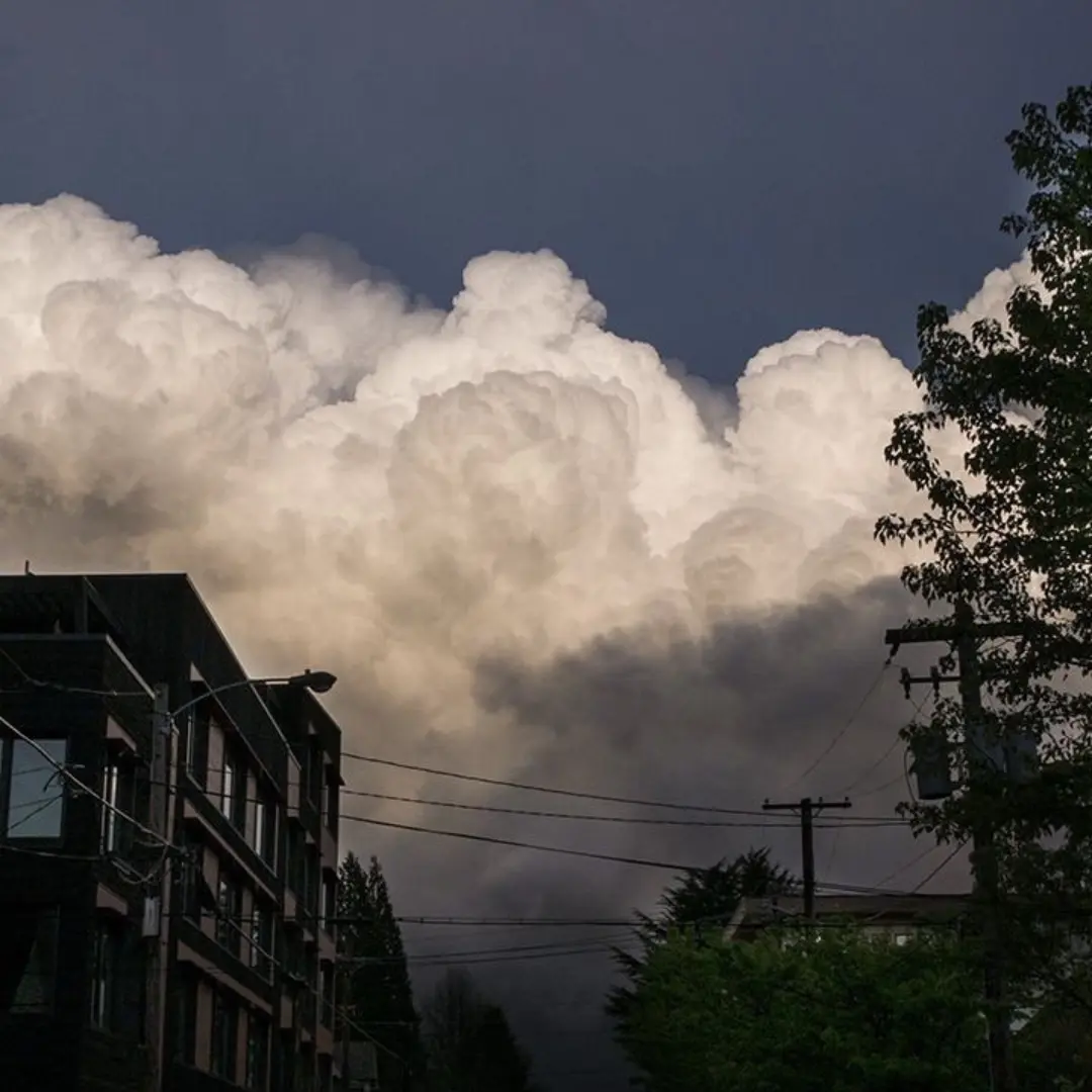 Good_duck의 뜰팁 고등학교 연극부