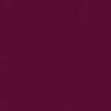 Profile image of ないこ