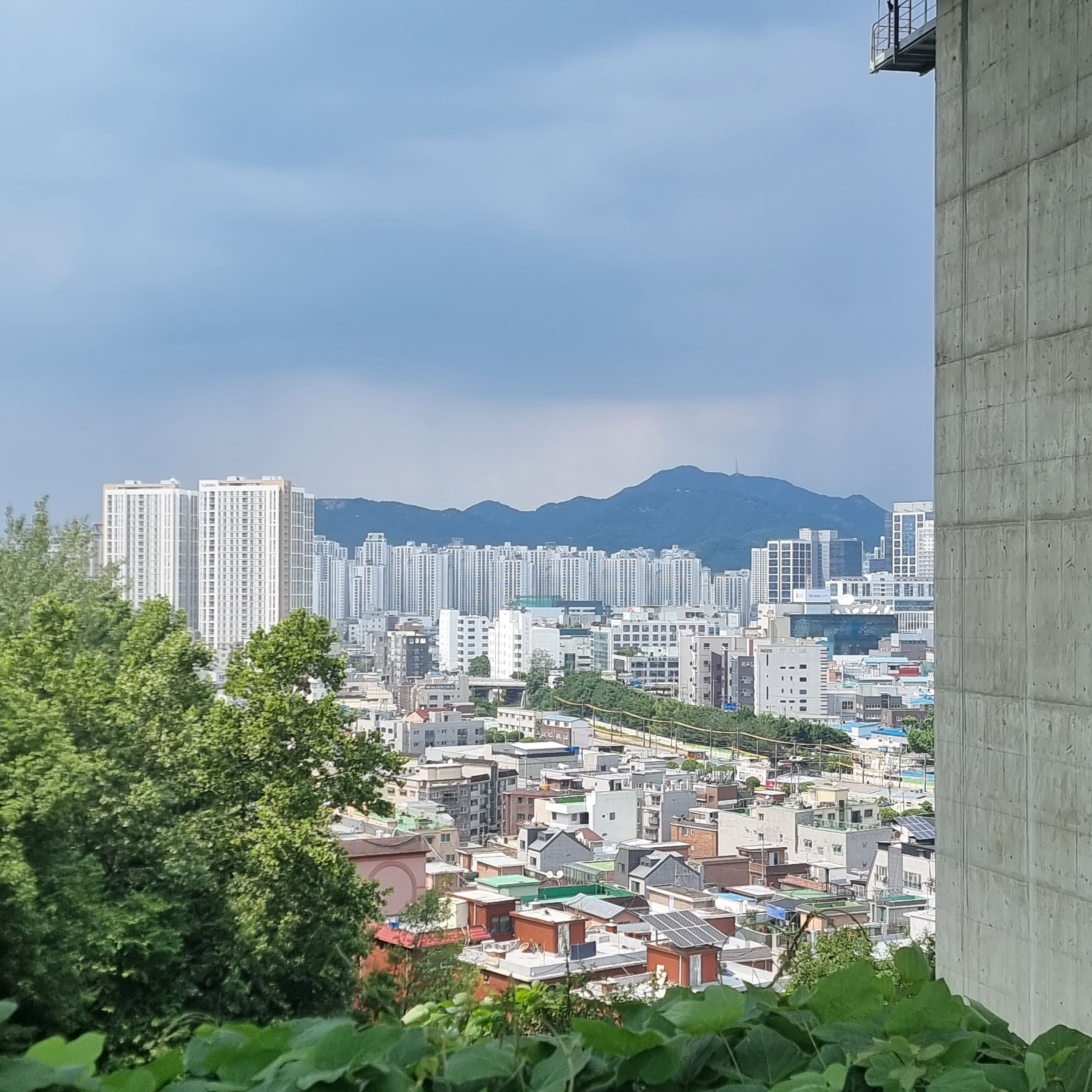 마젠타 대표 이미지