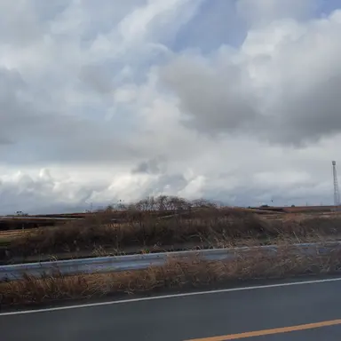 Profile image of 大阪