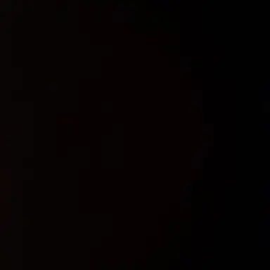 Profile image of 쟤현