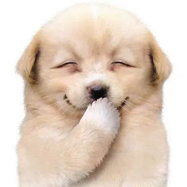 Profile image of ㅁㅈㅎ