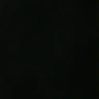 Profile image of 태러